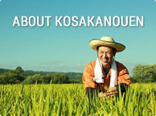 ABOUT KOSAKANOUEN