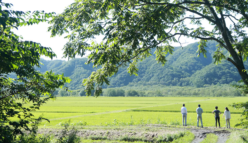 写真：小坂農園の畑